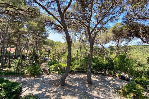 Lejlighed i Rosignano Marittimo, Livorno, Rosignano Marittimo - € 109.000 | Ref: C622 - foto 12