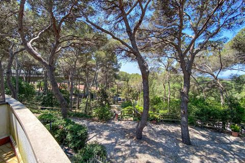 Lejlighed i Rosignano Marittimo, Livorno, Rosignano Marittimo - € 109.000 | Ref: C622 - foto 13