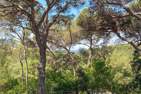 Lejlighed i Rosignano Marittimo, Livorno, Rosignano Marittimo - € 109.000 | Ref: C622 - foto 15