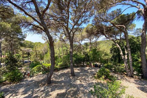 Lejlighed i Rosignano Marittimo, Livorno, Rosignano Marittimo - € 109.000 | Ref: C622 - foto 16