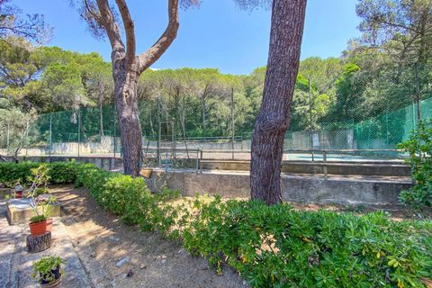 Lejlighed i Rosignano Marittimo, Livorno, Rosignano Marittimo - € 109.000 | Ref: C622 - foto 22
