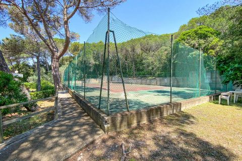 Lejlighed i Rosignano Marittimo, Livorno, Rosignano Marittimo - € 109.000 | Ref: C622 - foto 23