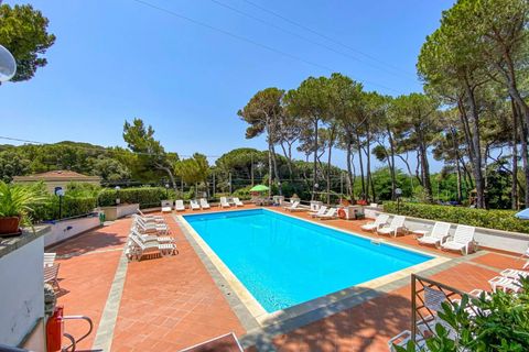 Lejlighed i Rosignano Marittimo, Livorno, Rosignano Marittimo - € 109.000 | Ref: C622 - foto 25