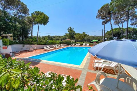 Lejlighed i Rosignano Marittimo, Livorno, Rosignano Marittimo - € 109.000 | Ref: C622 - foto 26