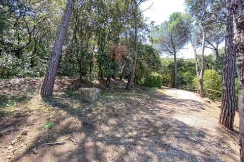 Lejlighed i Rosignano Marittimo, Livorno, Rosignano Marittimo - € 109.000 | Ref: C622 - foto 28