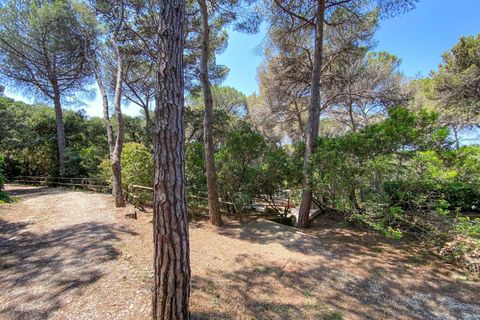 Lejlighed i Rosignano Marittimo, Livorno, Rosignano Marittimo - € 109.000 | Ref: C622 - foto 29