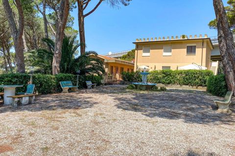 Lejlighed i Rosignano Marittimo, Livorno, Rosignano Marittimo - € 109.000 | Ref: C622 - foto 30