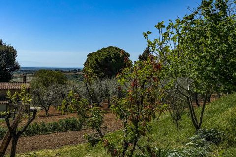 Helårsgrund i Casale Marittimo, Pisa, Casale Marittimo - € 130.000 | Ref: CS462 - foto 1