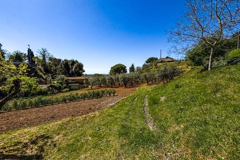 Helårsgrund i Casale Marittimo, Pisa, Casale Marittimo - € 130.000 | Ref: CS462 - foto 3