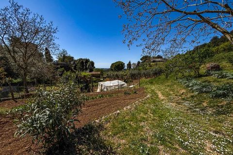 Helårsgrund i Casale Marittimo, Pisa, Casale Marittimo - € 130.000 | Ref: CS462 - foto 4