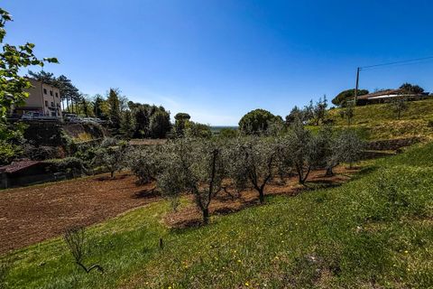 Helårsgrund i Casale Marittimo, Pisa, Casale Marittimo - € 130.000 | Ref: CS462 - foto 6