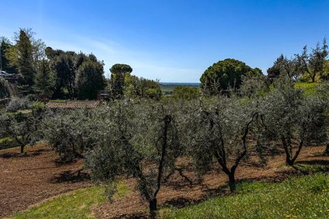 Helårsgrund i Casale Marittimo, Pisa, Casale Marittimo - € 130.000 | Ref: CS462 - foto 5