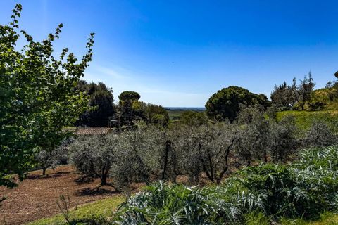 Helårsgrund i Casale Marittimo, Pisa, Casale Marittimo - € 130.000 | Ref: CS462 - foto 2