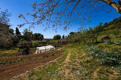 Helårsgrund i Casale Marittimo, Pisa, Casale Marittimo - € 130.000 | Ref: CS462 - foto 7