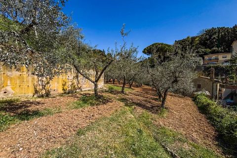 Helårsgrund i Casale Marittimo, Pisa, Casale Marittimo - € 130.000 | Ref: CS462 - foto 8