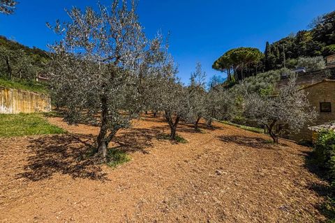 Helårsgrund i Casale Marittimo, Pisa, Casale Marittimo - € 130.000 | Ref: CS462 - foto 9