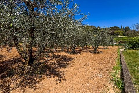 Helårsgrund i Casale Marittimo, Pisa, Casale Marittimo - € 130.000 | Ref: CS462 - foto 10