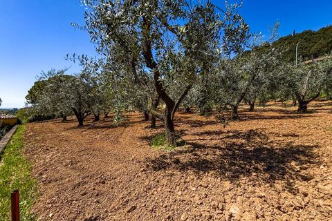 Helårsgrund i Casale Marittimo, Pisa, Casale Marittimo - € 130.000 | Ref: CS462 - foto 11