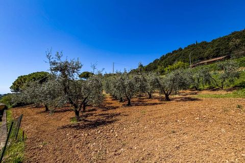 Helårsgrund i Casale Marittimo, Pisa, Casale Marittimo - € 130.000 | Ref: CS462 - foto 12