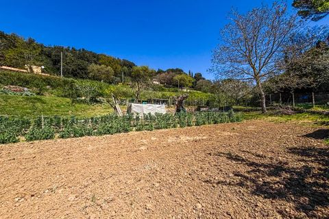 Helårsgrund i Casale Marittimo, Pisa, Casale Marittimo - € 130.000 | Ref: CS462 - foto 13