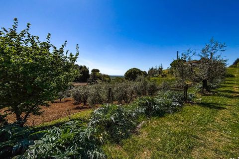 Helårsgrund i Casale Marittimo, Pisa, Casale Marittimo - € 130.000 | Ref: CS462 - foto 14