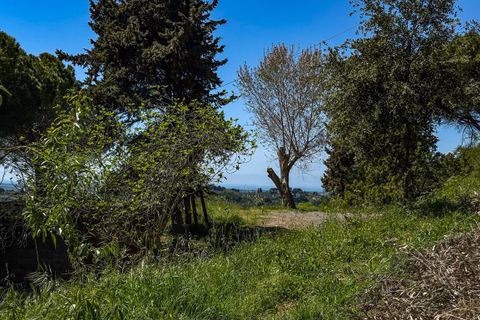 Helårsgrund i Casale Marittimo, Pisa, Casale Marittimo - € 130.000 | Ref: CS462 - foto 15