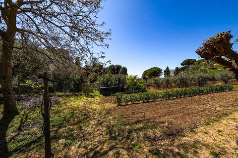 Helårsgrund i Casale Marittimo, Pisa, Casale Marittimo - € 130.000 | Ref: CS462 - foto 16