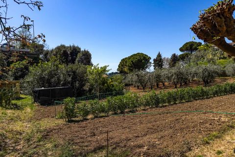 Helårsgrund i Casale Marittimo, Pisa, Casale Marittimo - € 130.000 | Ref: CS462 - foto 17