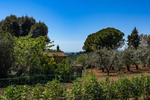 Helårsgrund i Casale Marittimo, Pisa, Casale Marittimo - € 130.000 | Ref: CS462 - foto 18