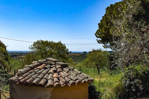 Helårsgrund i Casale Marittimo, Pisa, Casale Marittimo - € 130.000 | Ref: CS462 - foto 19