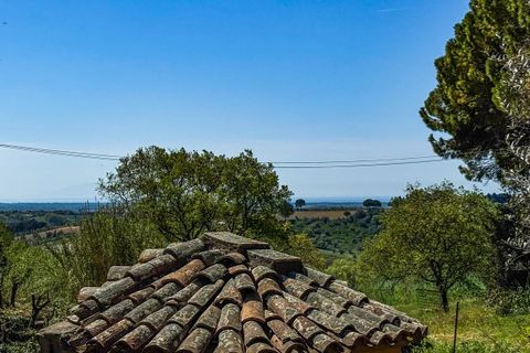 Helårsgrund i Casale Marittimo, Pisa, Casale Marittimo - € 130.000 | Ref: CS462 - foto 20