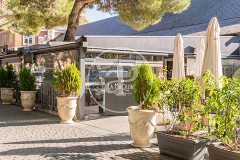 Villa a La Moraleja, Madrid, La Moraleja - € 7.600.000 | Ref: VMN2511P02 - foto 12