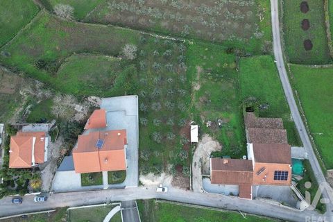Helårsgrund i Penela, Coimbra, Penela - € 35.000 | Ref: 758255 - foto 2