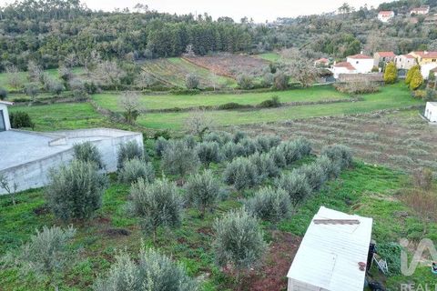 Helårsgrund i Penela, Coimbra, Penela - € 35.000 | Ref: 758255 - foto 17