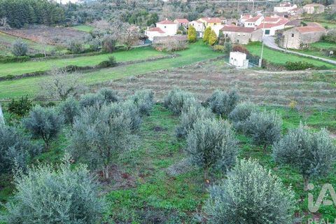 Helårsgrund i Penela, Coimbra, Penela - € 35.000 | Ref: 758255 - foto 18
