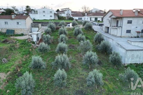 Helårsgrund i Penela, Coimbra, Penela - € 35.000 | Ref: 758255 - foto 19