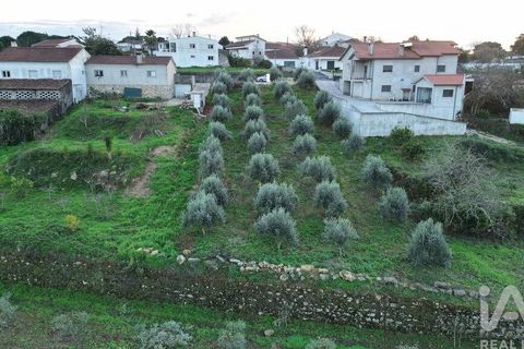 Helårsgrund i Penela, Coimbra, Penela - € 35.000 | Ref: 758255 - foto 20