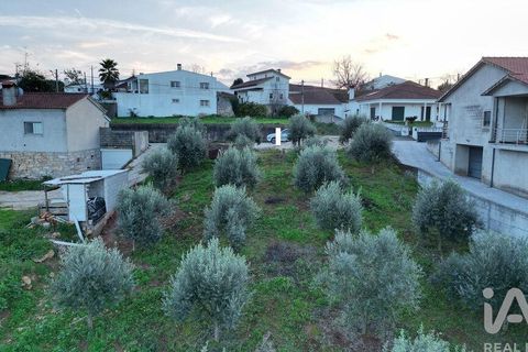 Helårsgrund i Penela, Coimbra, Penela - € 35.000 | Ref: 758255 - foto 21