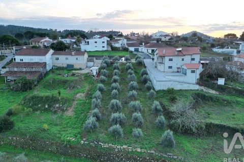 Helårsgrund i Penela, Coimbra, Penela - € 35.000 | Ref: 758255 - foto 22