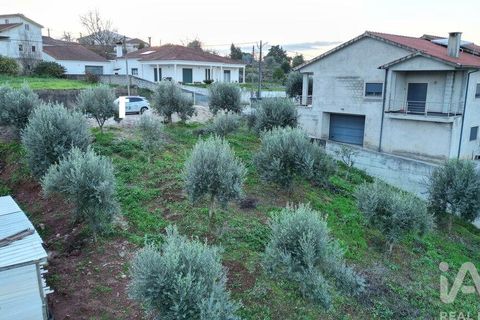 Helårsgrund i Penela, Coimbra, Penela - € 35.000 | Ref: 758255 - foto 23