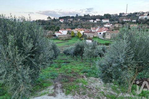 Helårsgrund i Penela, Coimbra, Penela - € 35.000 | Ref: 758255 - foto 24
