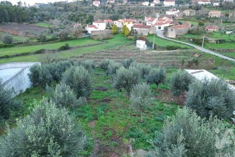 Helårsgrund i Penela, Coimbra, Penela - € 35.000 | Ref: 758255 - foto 25