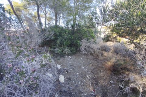 Tomt i Teulada, Alicante, Teulada - € 290 000 | Ref: P210 - foto 4