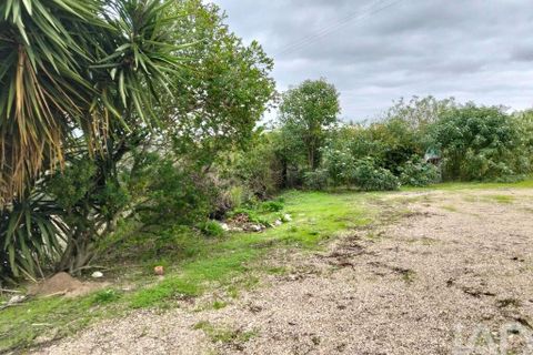 Byhus i Santarem, Santarem, Santarem - € 923.000 | Ref: 759763 - foto 23