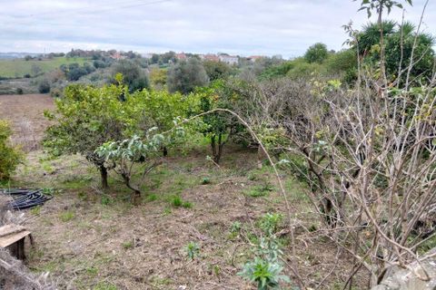 Byhus i Santarem, Santarem, Santarem - € 923.000 | Ref: 759763 - foto 24