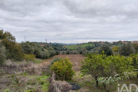 Byhus i Santarem, Santarem, Santarem - € 923.000 | Ref: 759763 - foto 26