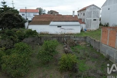 Byhus i Santarem, Santarem, Santarem - € 923.000 | Ref: 759763 - foto 39