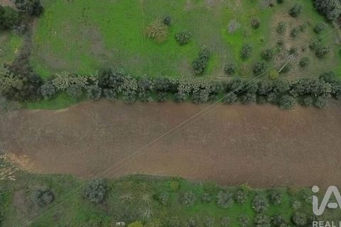 Byhus i Santarem, Santarem, Santarem - € 923.000 | Ref: 759763 - foto 40