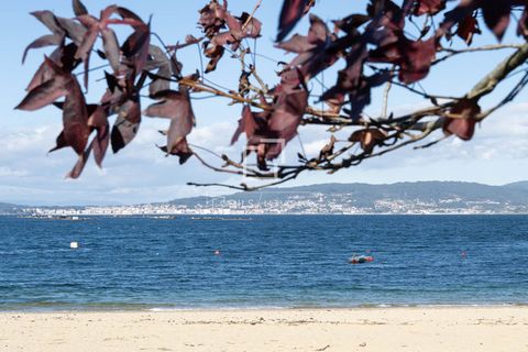 Villa i Bueu, Pontevedra, Bueu - € 795.000 | Ref: VIG51128 - foto 37