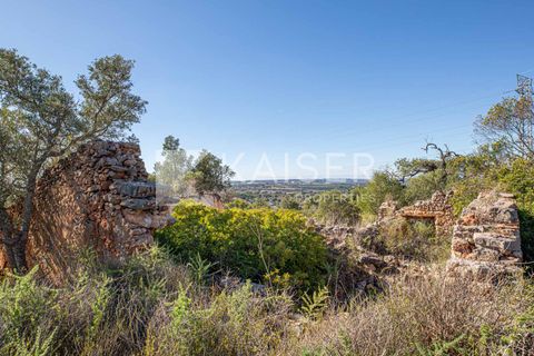 Terra a Tunes, Faro, Tunes - € 350.000 | Ref: KP1312 - foto 2